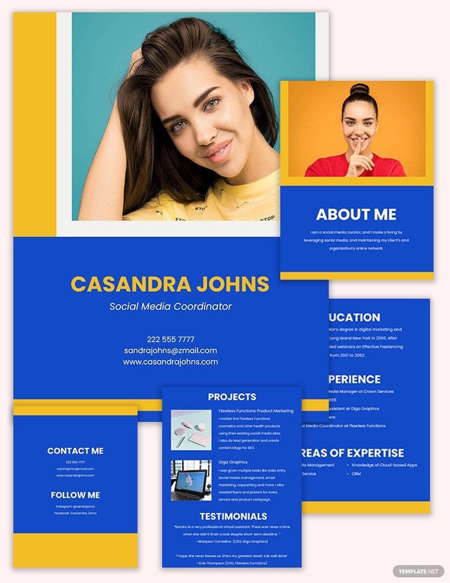 Software Company Portfolio Template in InDesign Illustrator PSD Word