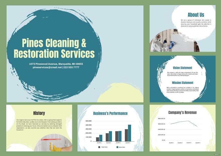 Professional Cleaning Company Profile