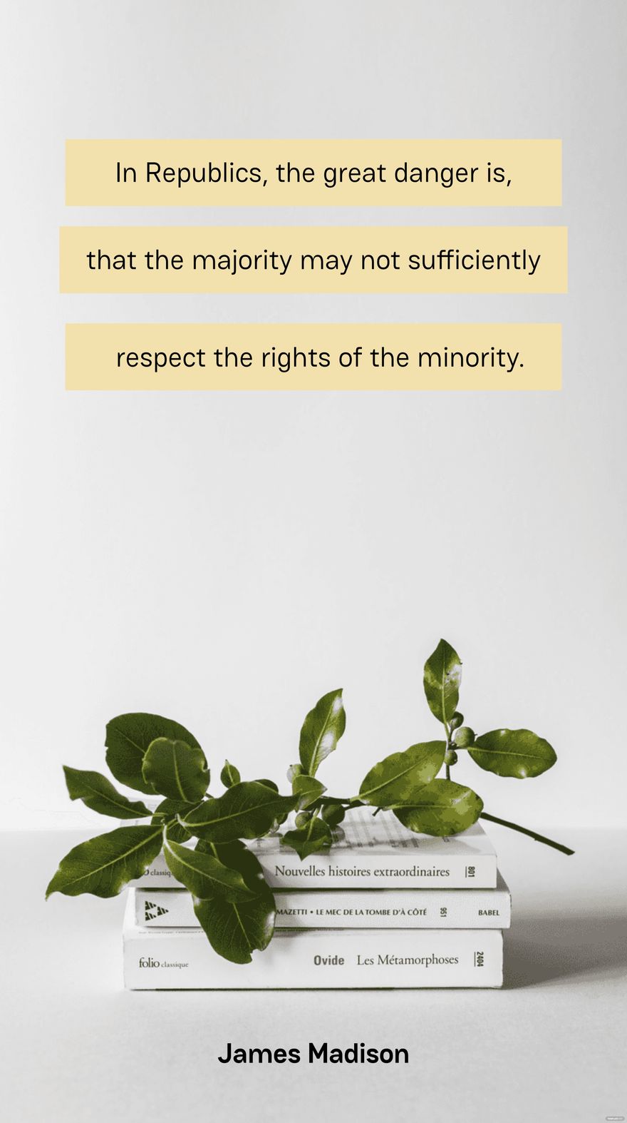 Free In Republics, the great danger is, that the majority may not sufficiently respect the rights of the minority. - James Madison in JPEG