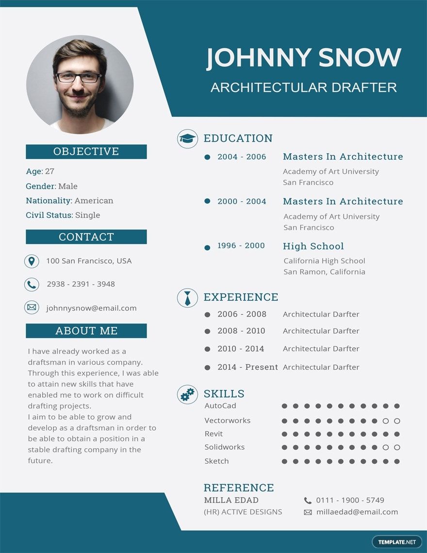 Draftsman Resume in Word, Publisher, InDesign, PSD, Illustrator, Pages