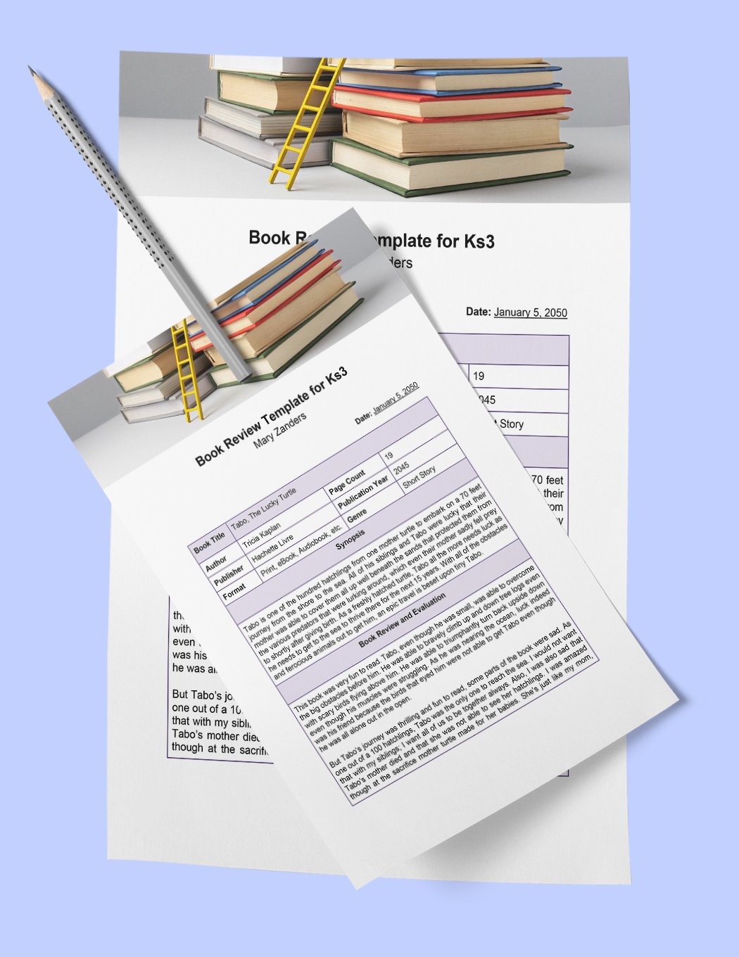 Book Review Template Ks3 in Word, Google Docs