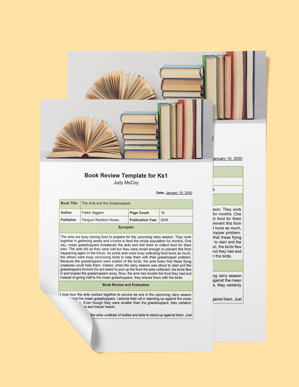 Book Review Template For Ks1