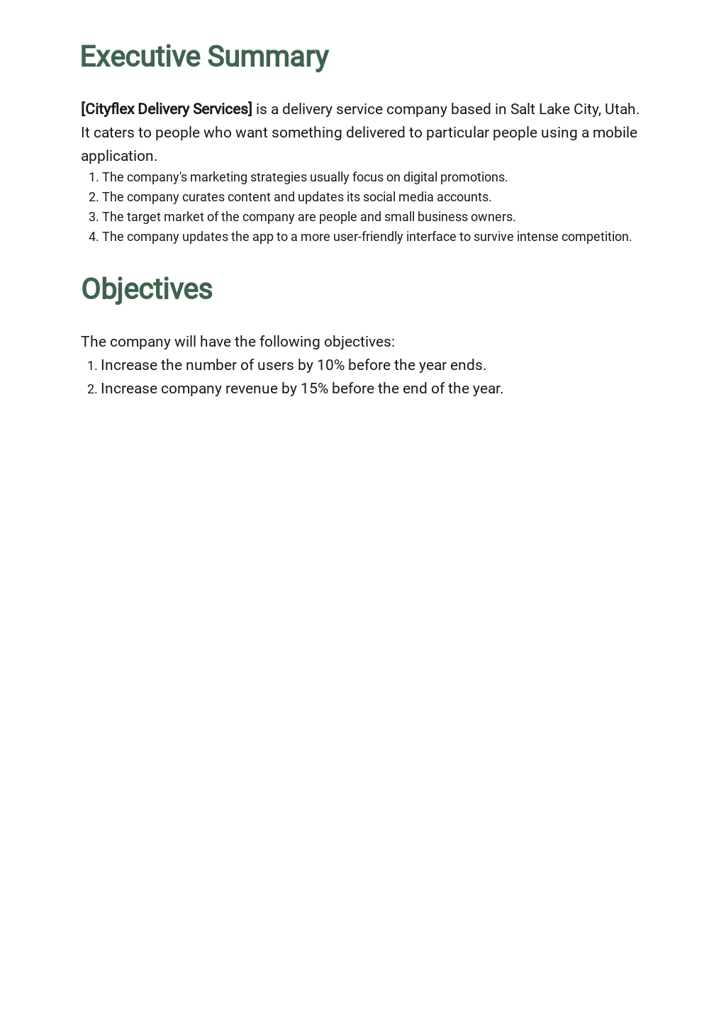 Delivery Service Marketing Plan Template 1.jpe