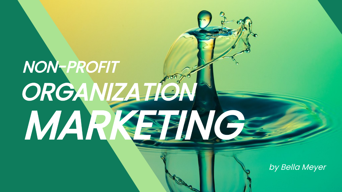 Non Profit Organization Marketing Presentation