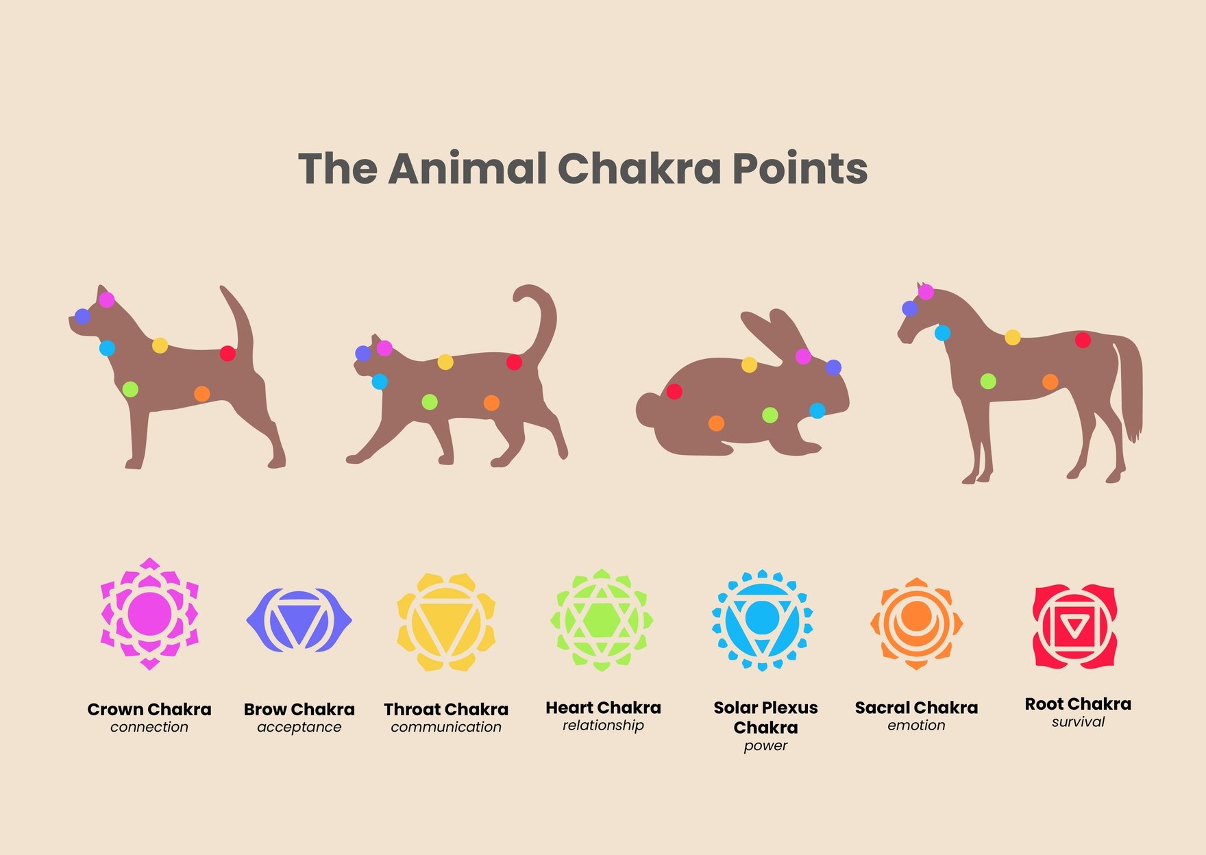 7 Chakra Animal Pet Chart - Illustrator, PDF 