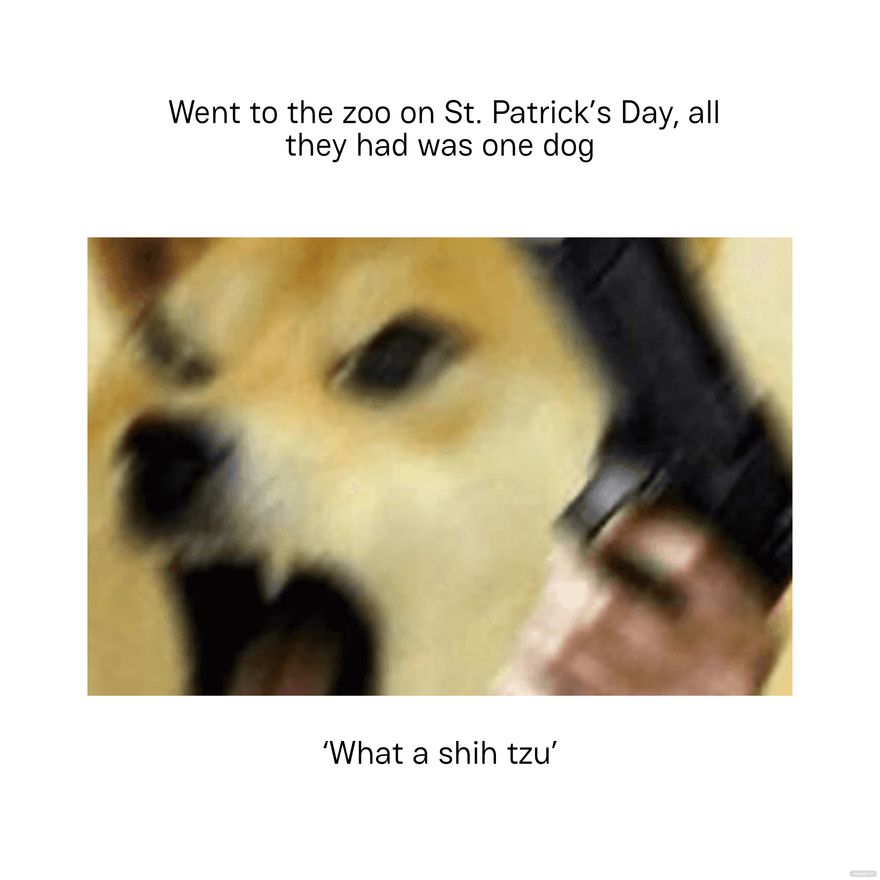 Free St Patrick's Day Dog Meme in JPEG