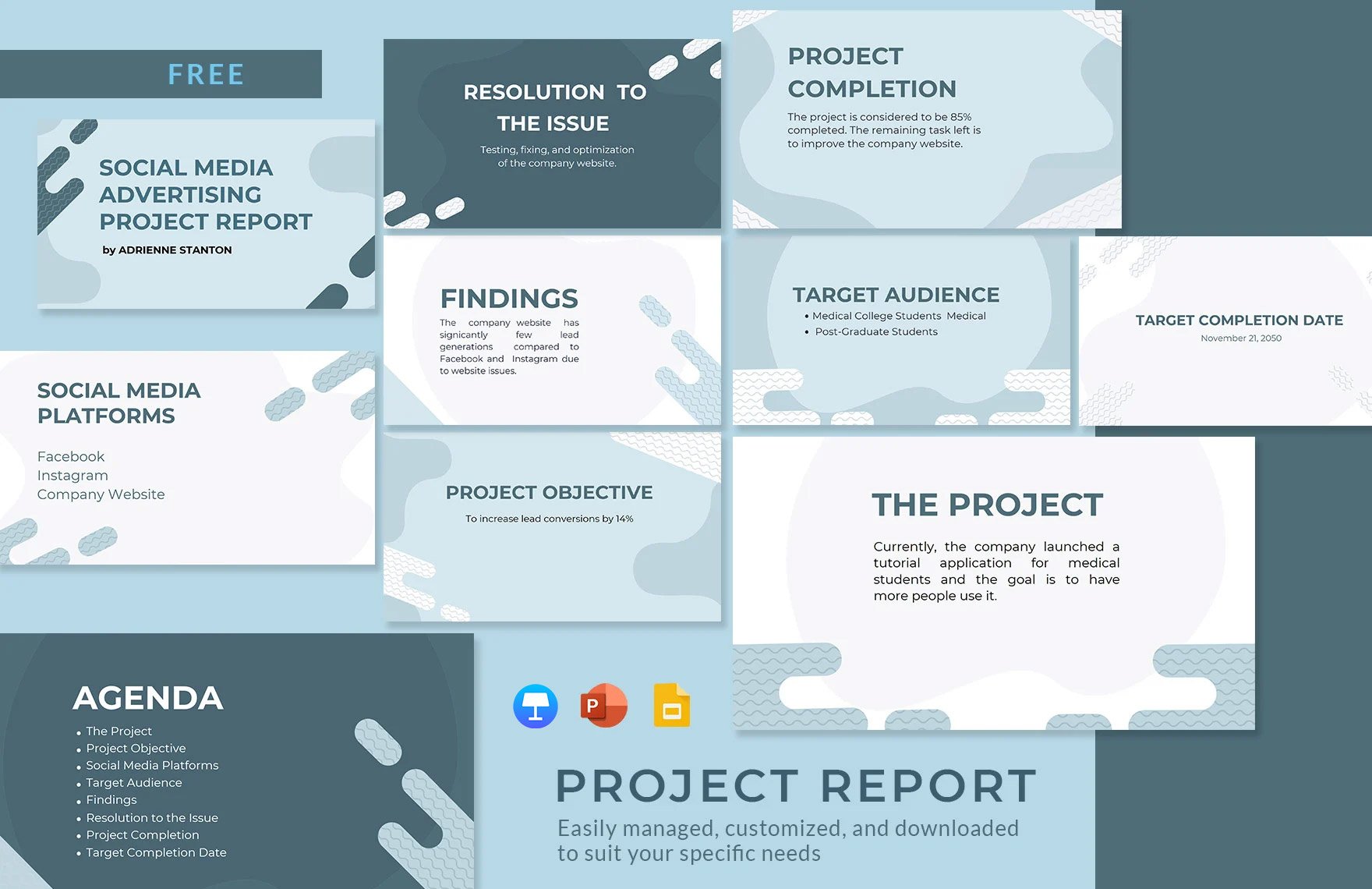 Project Report Presentation Template