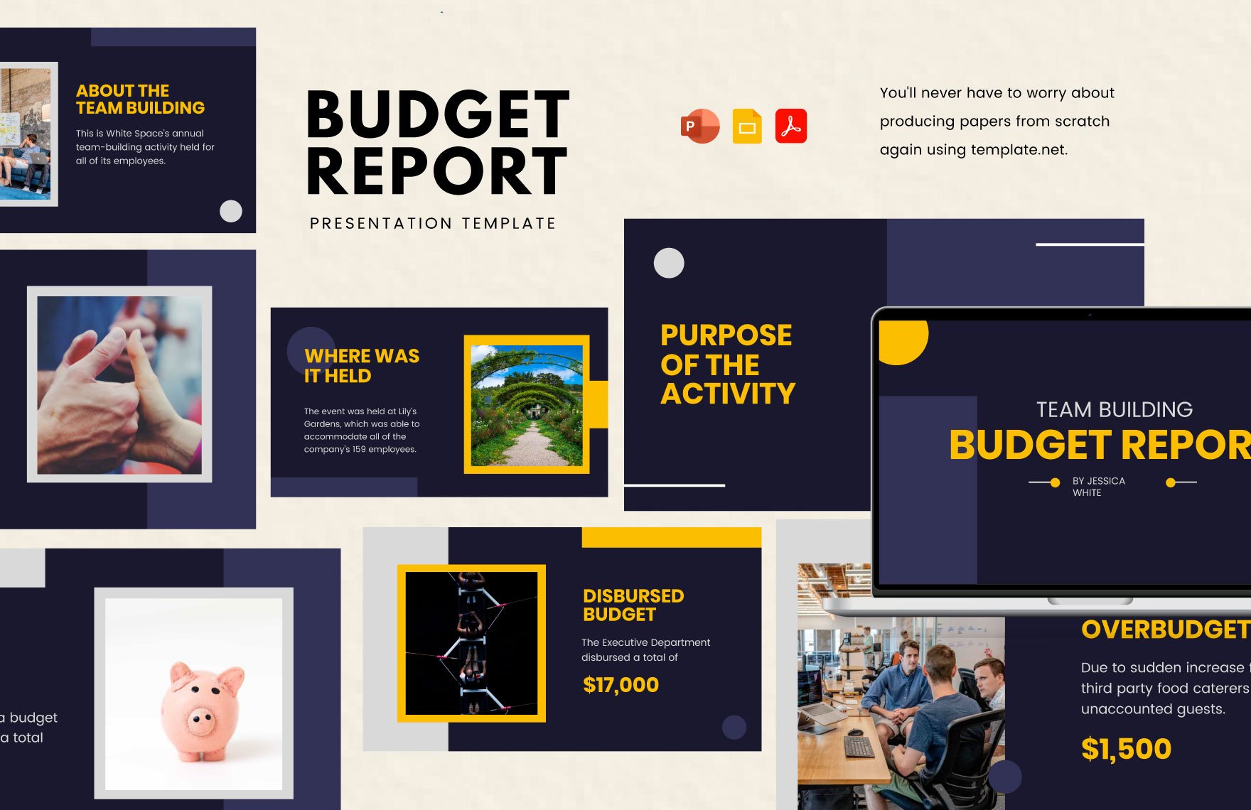 Budget Report Presentation Template