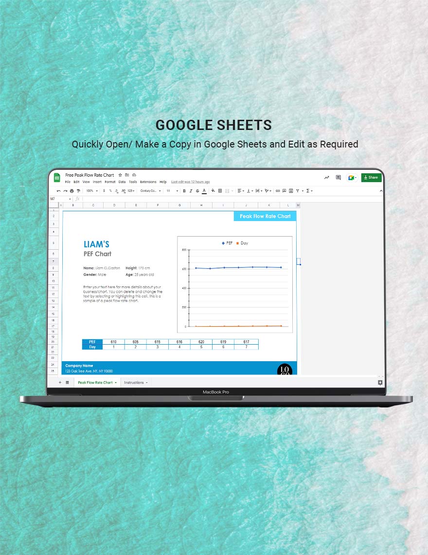 Free Peak Flow Rate Chart - Google Sheets, Excel | Template.net