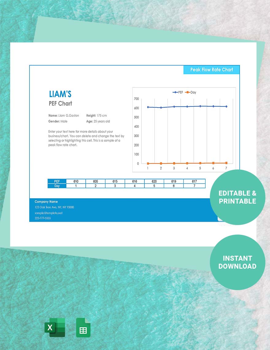 free-peak-flow-rate-chart-google-sheets-excel-template