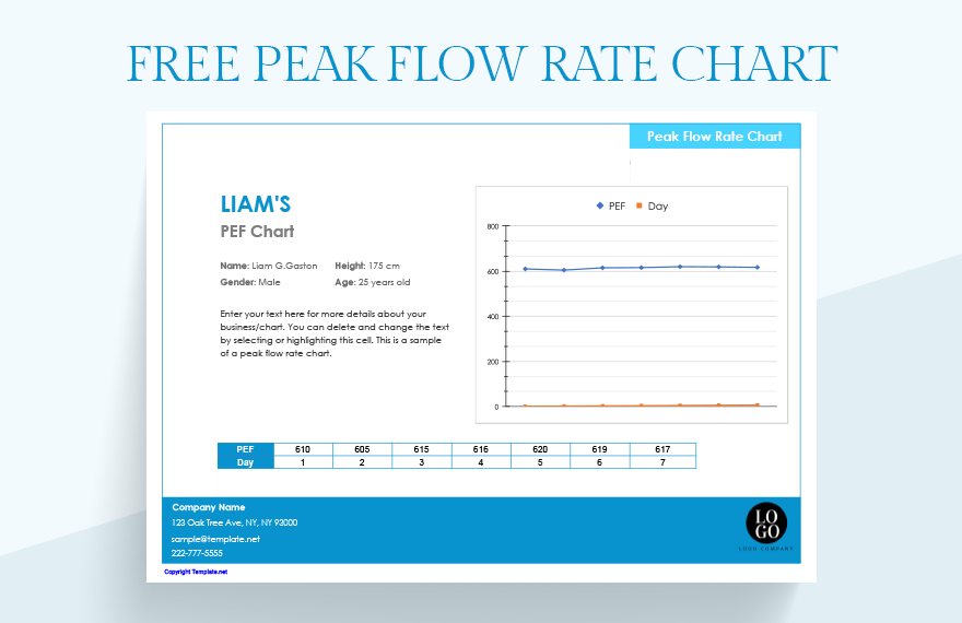 free-peak-flow-rate-chart-google-sheets-excel-template