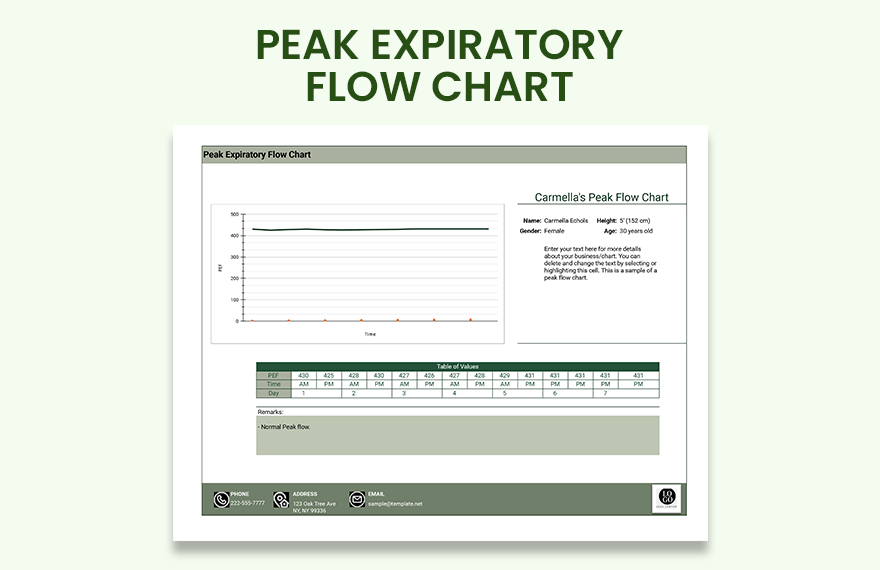 peak-expiratory-flow-chart-google-sheets-excel-template