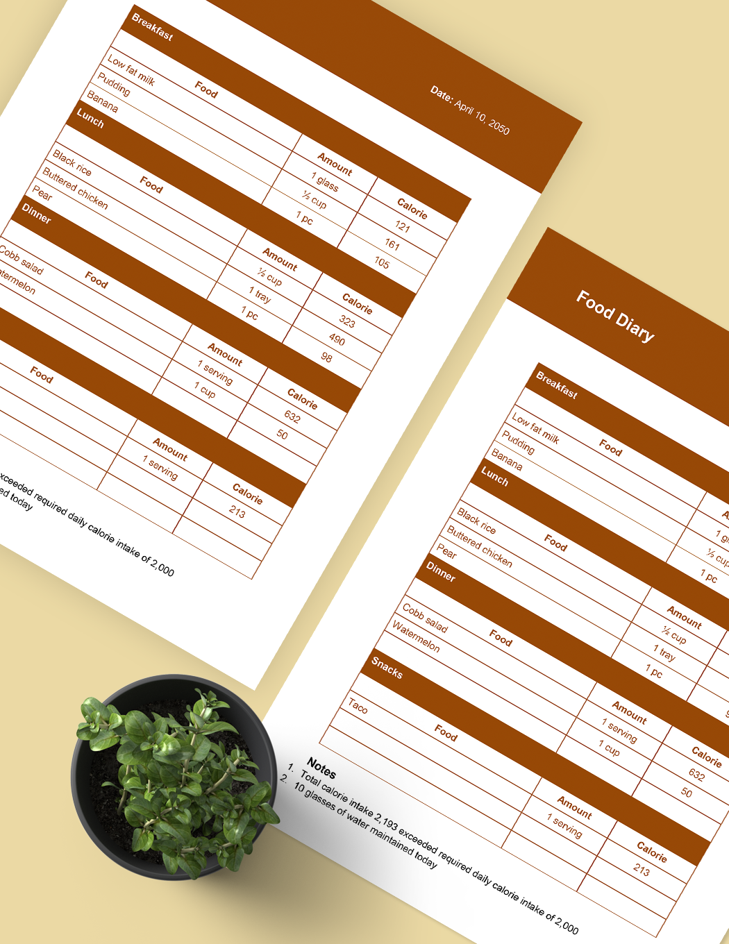 Free Food Diary Template