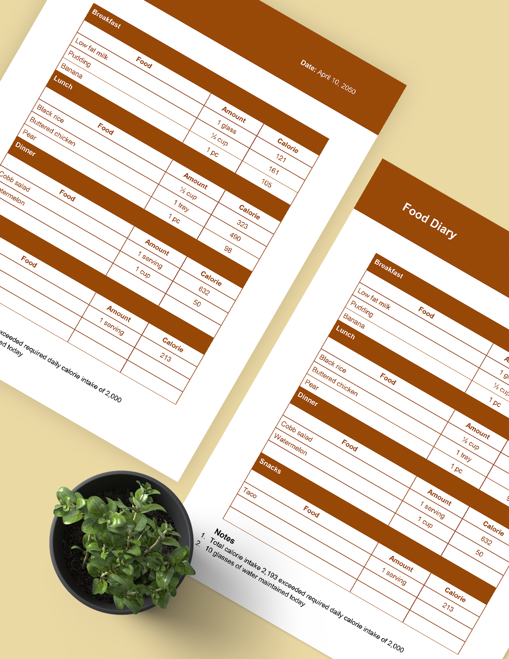 14+ Free Editable 21 Day Fix Meal Plan Templates in MS Word [DOC]