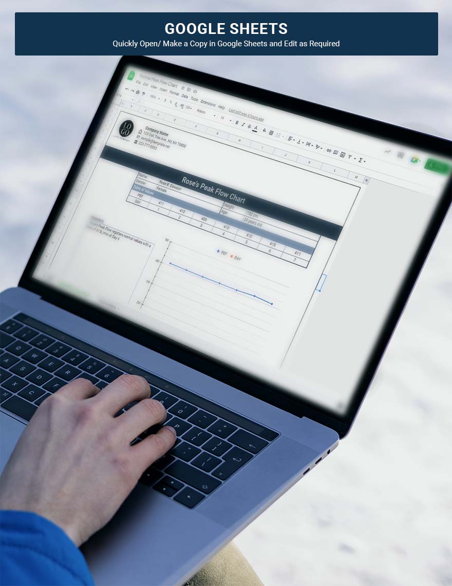 normal-peak-flow-chart-google-sheets-excel-template