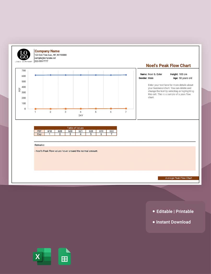 free-average-peak-flow-chart-google-sheets-excel-template