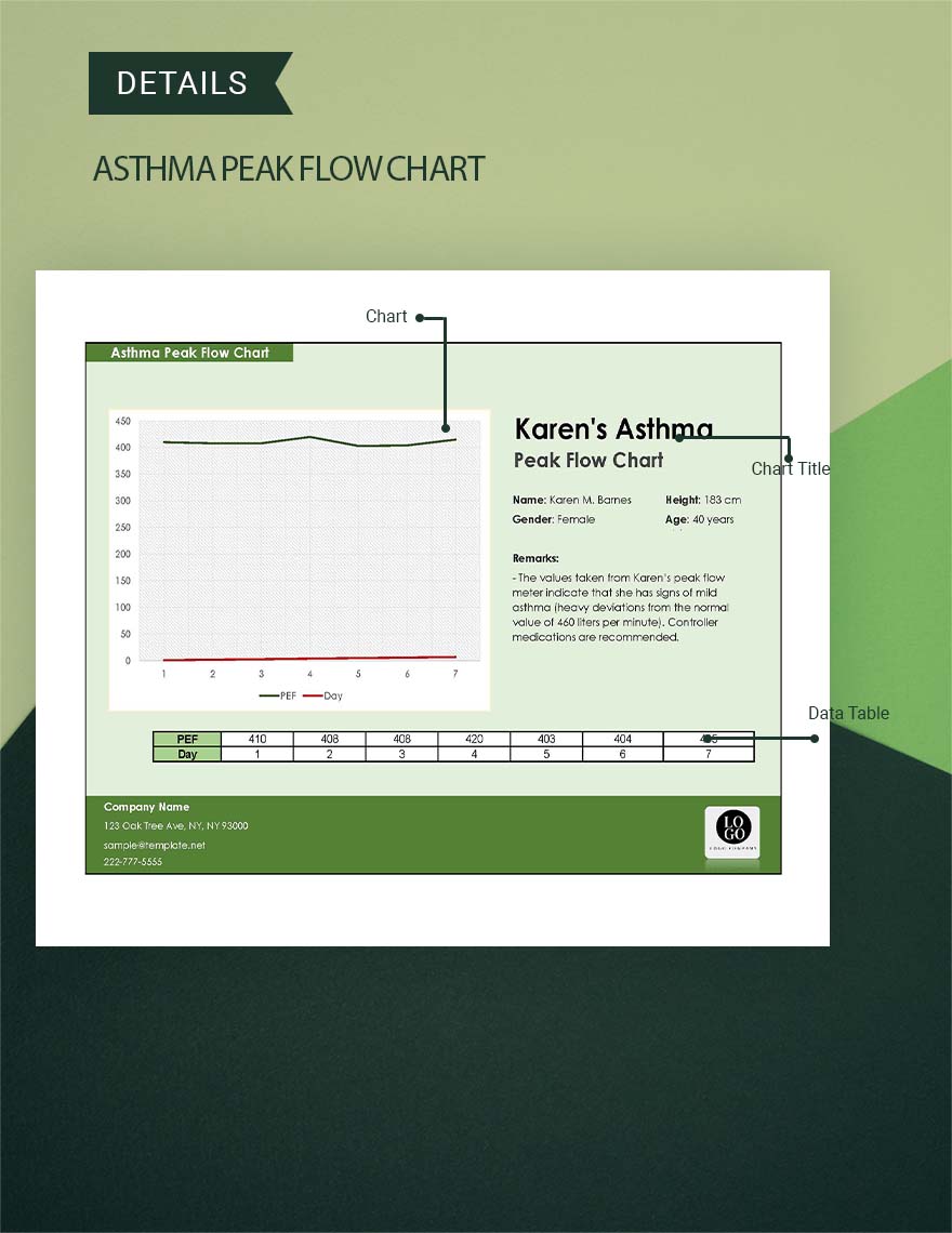 asthma-peak-flow-chart-google-sheets-excel-template