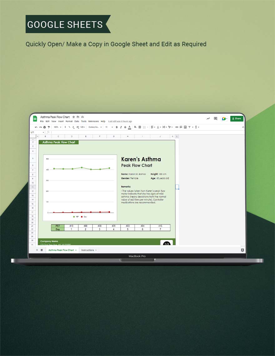 asthma-peak-flow-chart-google-sheets-excel-template