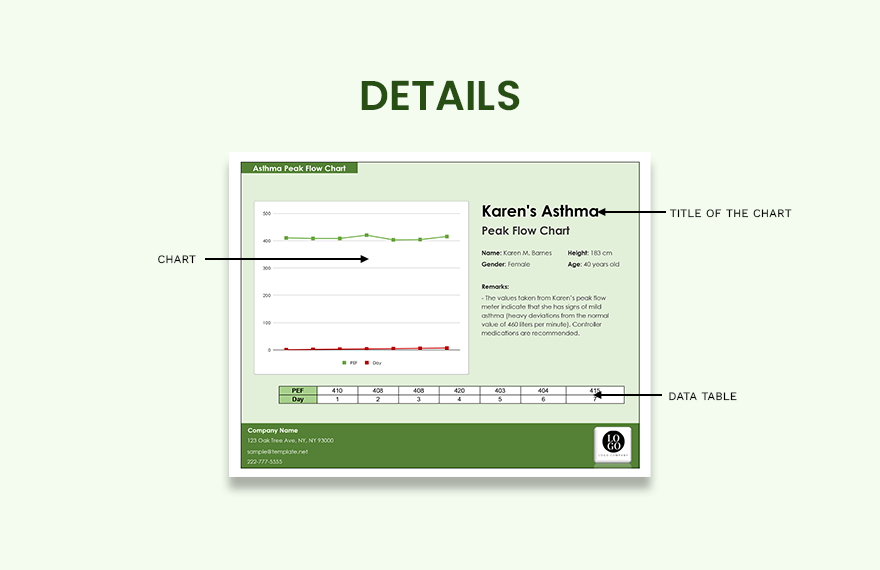 Asthma Peak Flow Chart - Excel, Google Sheets | Template.net