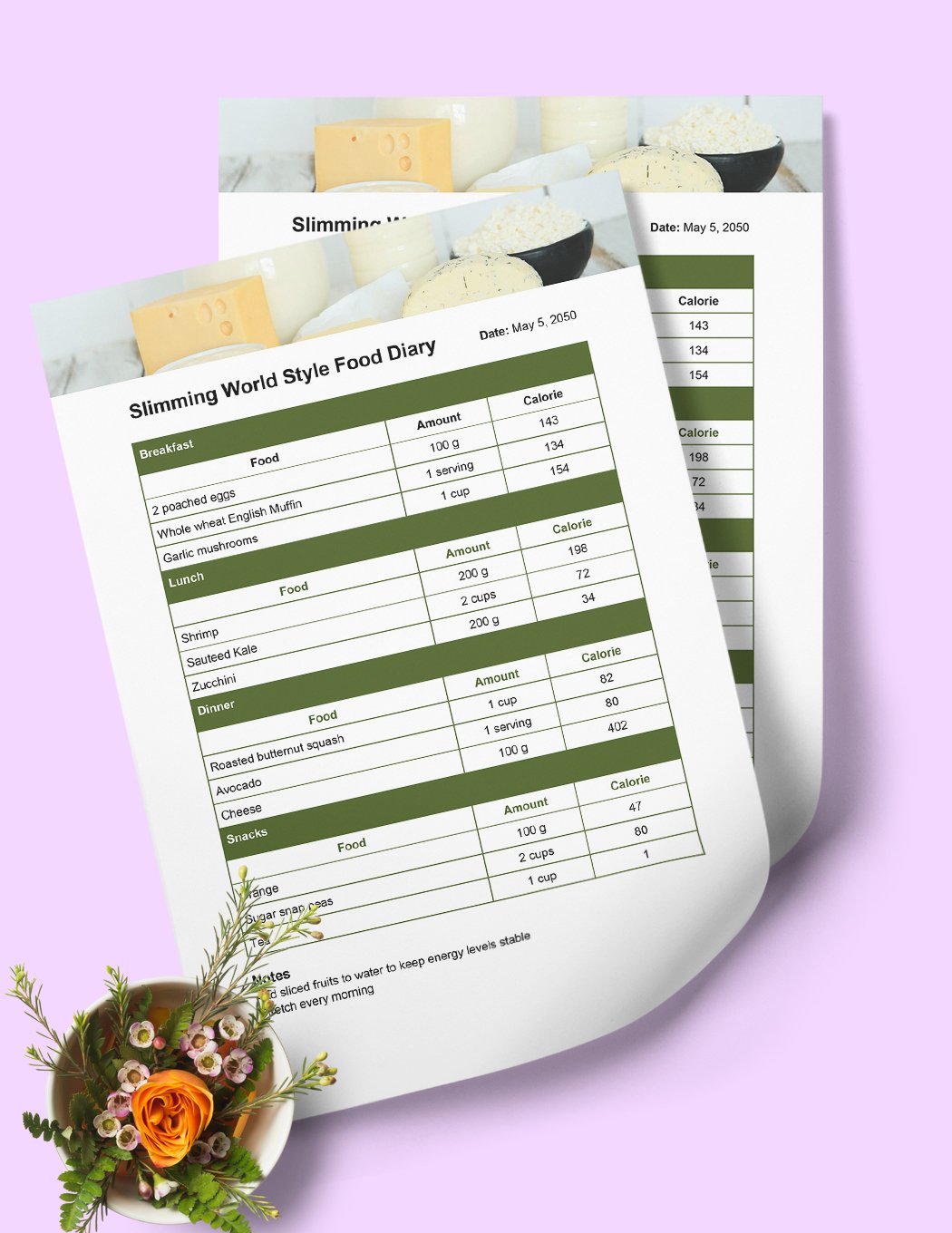 Slimming World Style Food Diary Template