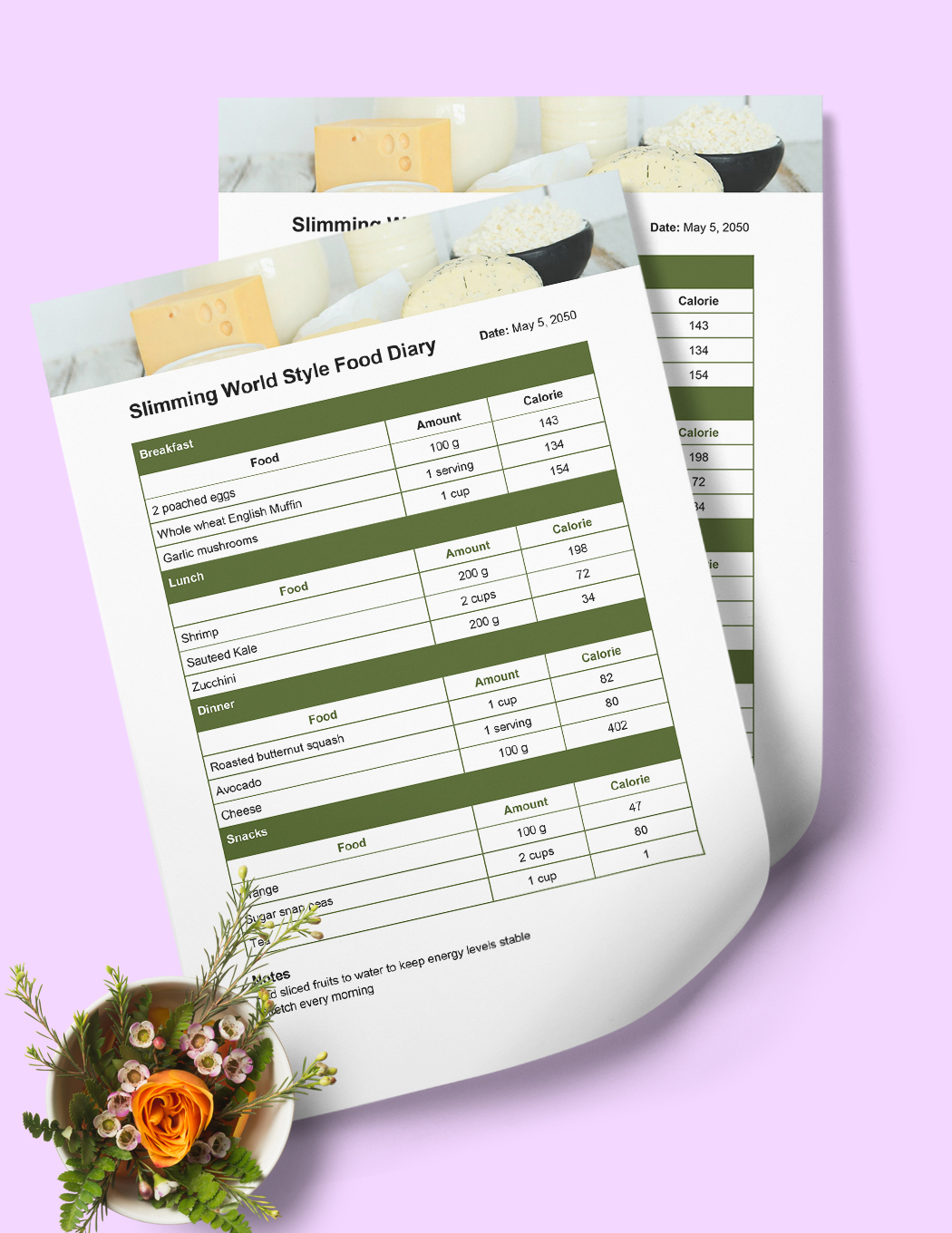 14+ Free Editable 21 Day Fix Meal Plan Templates in MS Word [DOC]