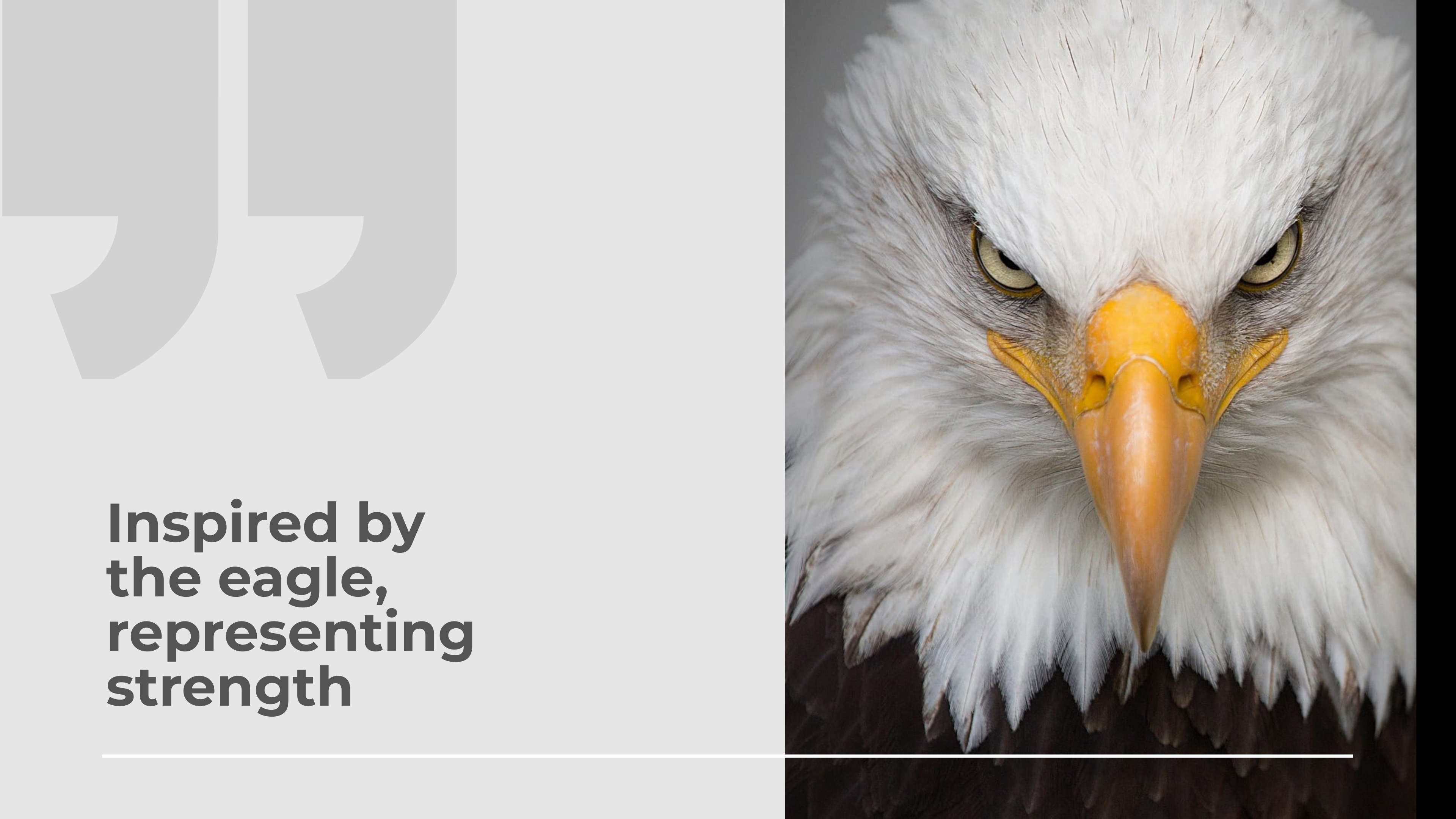 Free Lead Designer Portfolio Presentation Template to Edit Online Free Lead Designer Portfolio Presentation Template to Edit Online