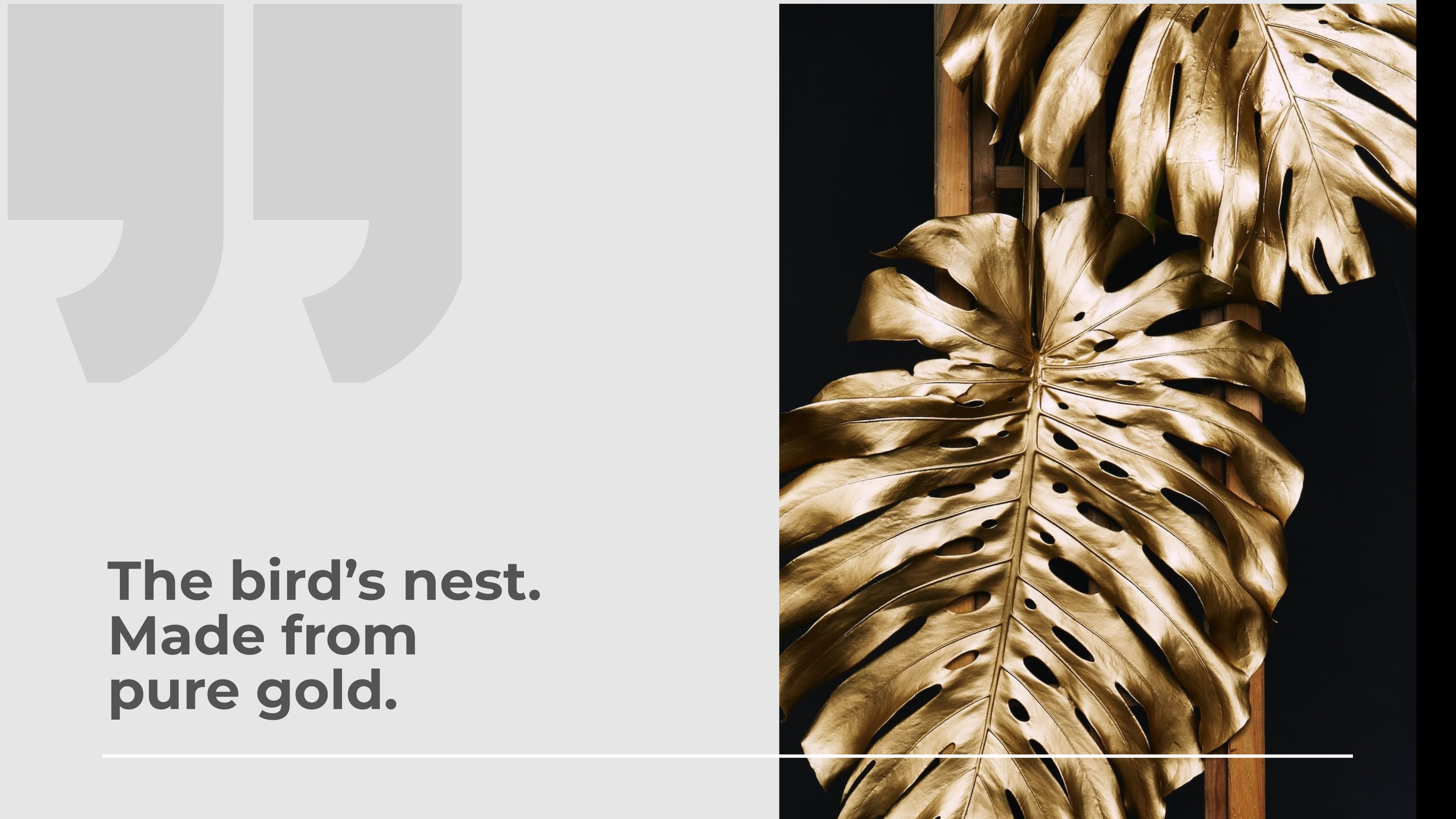 Free Lead Designer Portfolio Presentation Template to Edit Online Free Lead Designer Portfolio Presentation Template to Edit Online