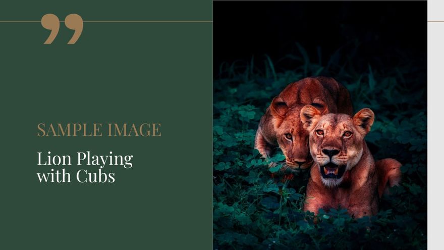 Free Photographer Portfolio Presentation Template to Edit Online