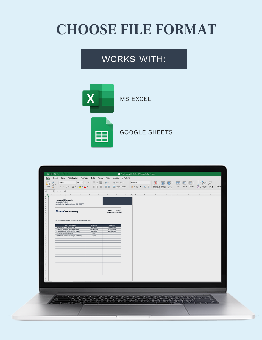 Vocabulary Worksheet Template for Nouns - Google Sheets, Excel ...