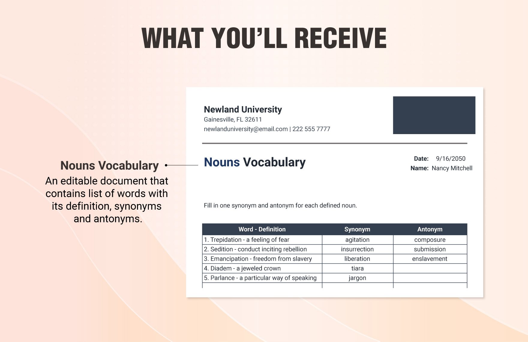 Vocabulary Worksheet Template for Nouns