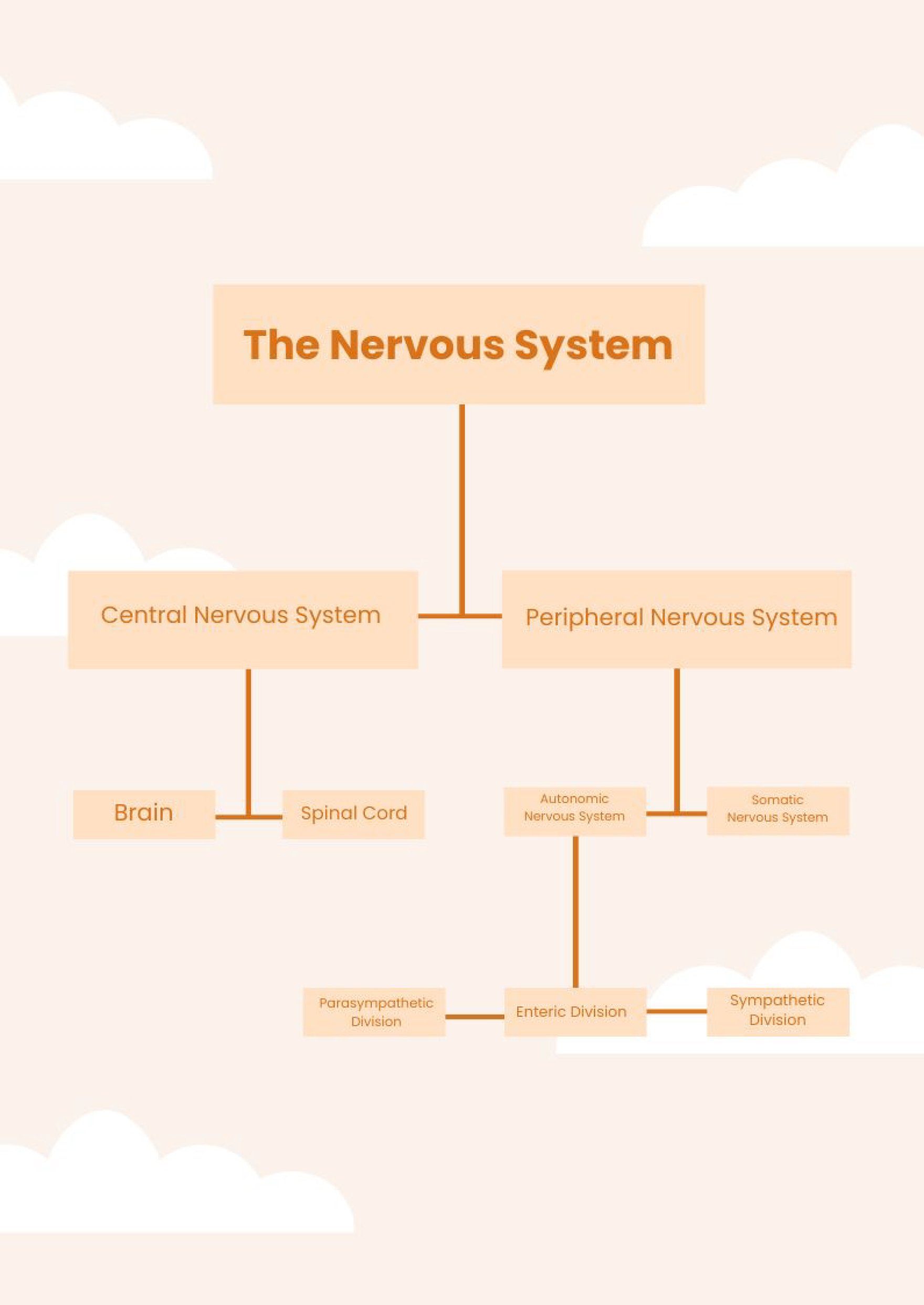 Free Nervous System Chart in PDF, Illustrator