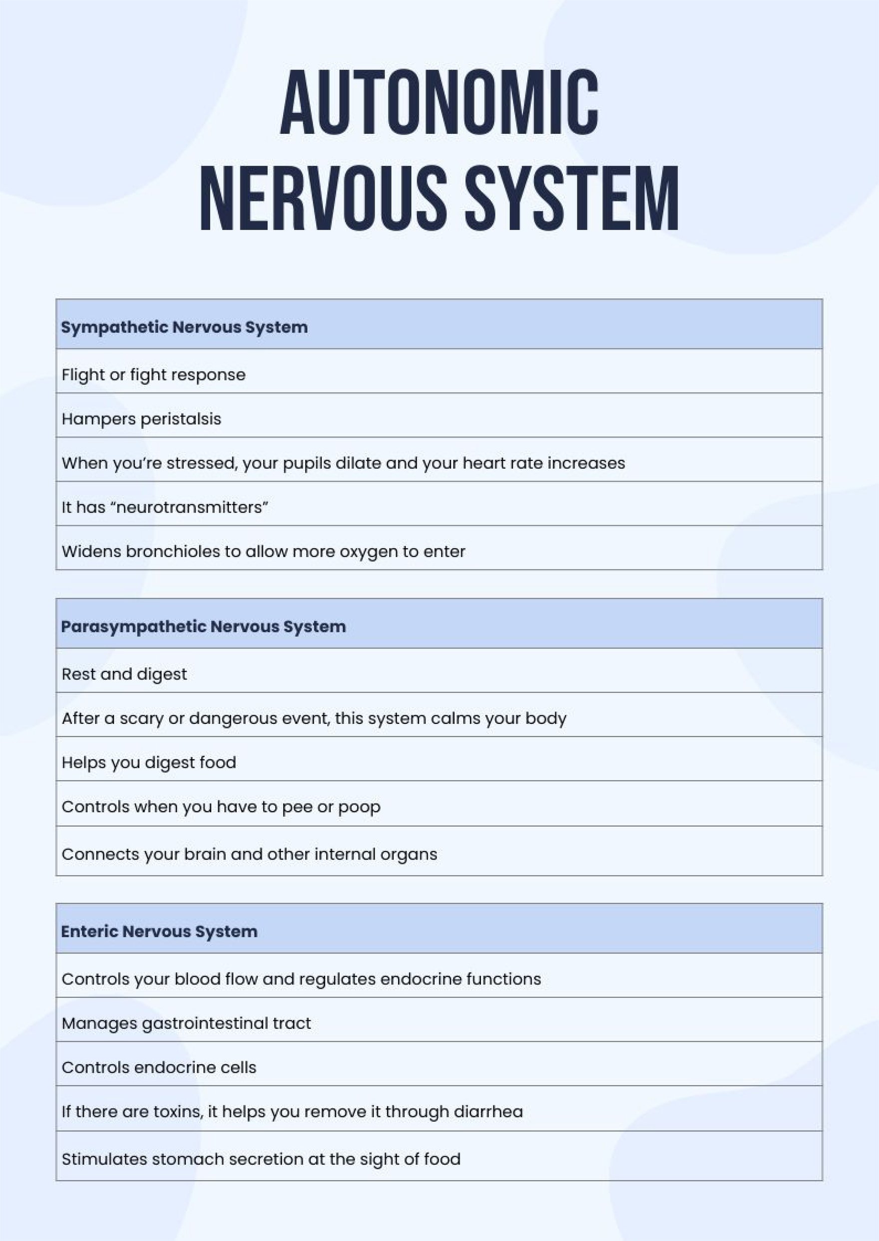 Autonomic Nervous System Chart in PDF, Illustrator