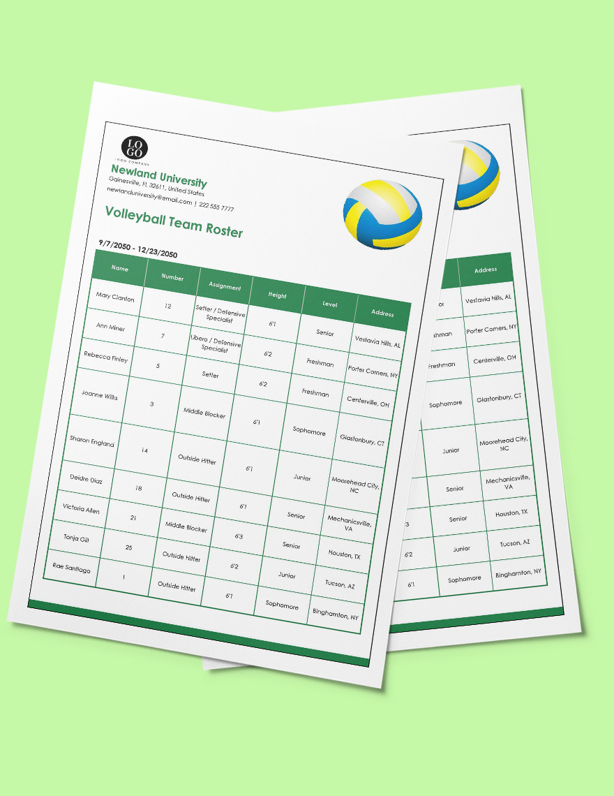 Volleyball Team Roster Template in Excel, Google Sheets Download