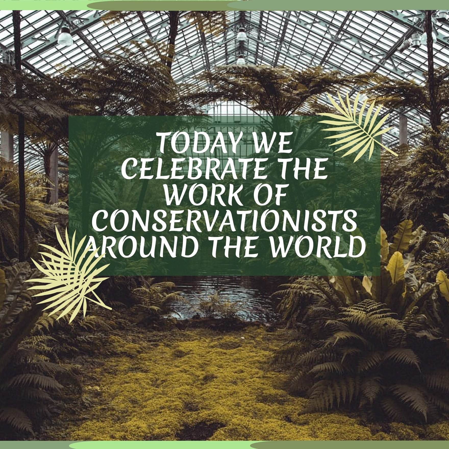 World Wildlife Day Instagram Post