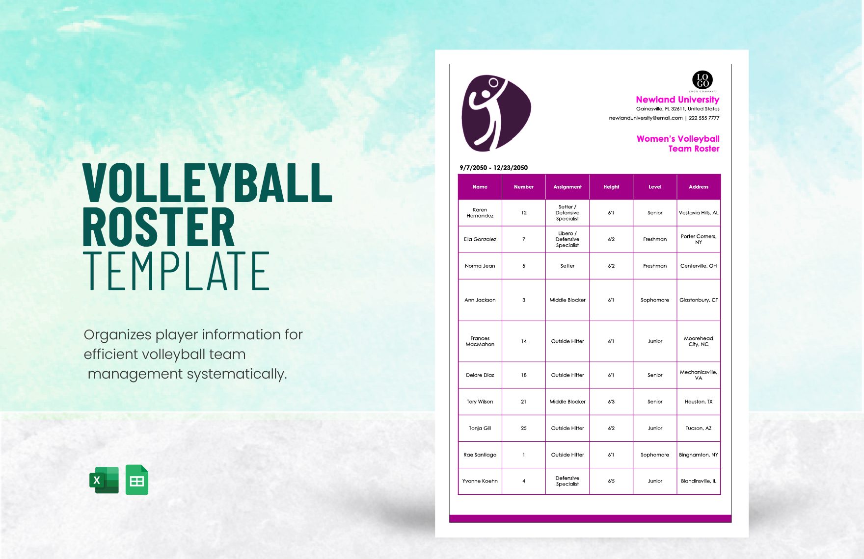 Free Women's Volleyball Roster Template in Excel, Google Sheets
