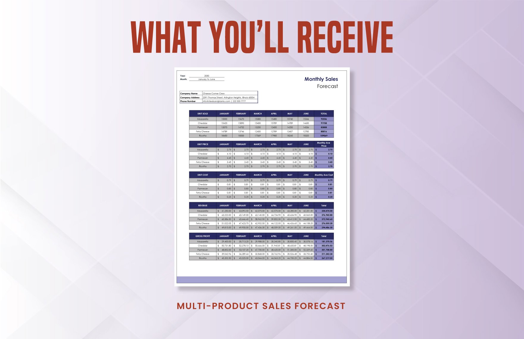 Multi-product Sales Forecast Template