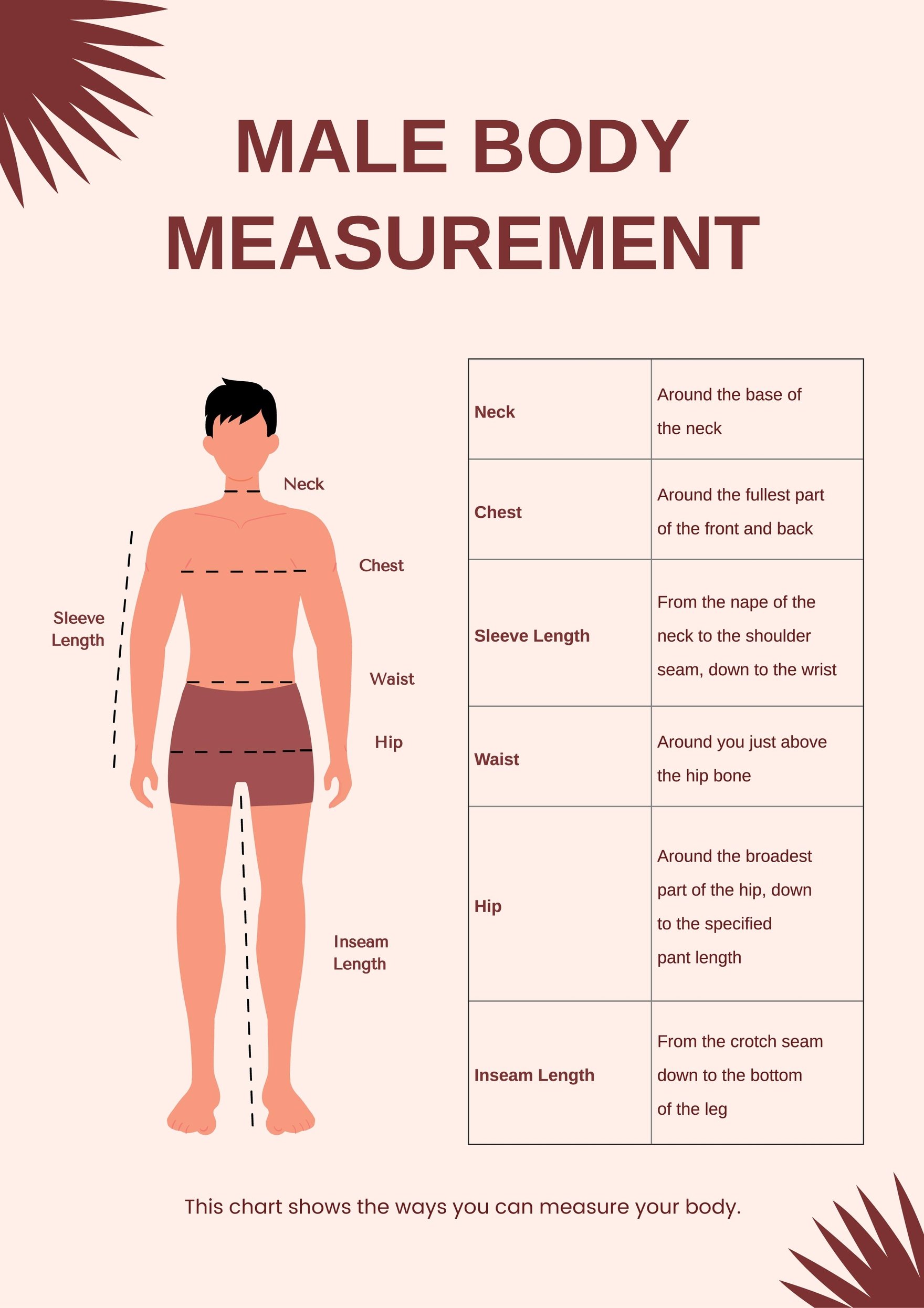 Male Body Measurement Chart in PDF, Illustrator