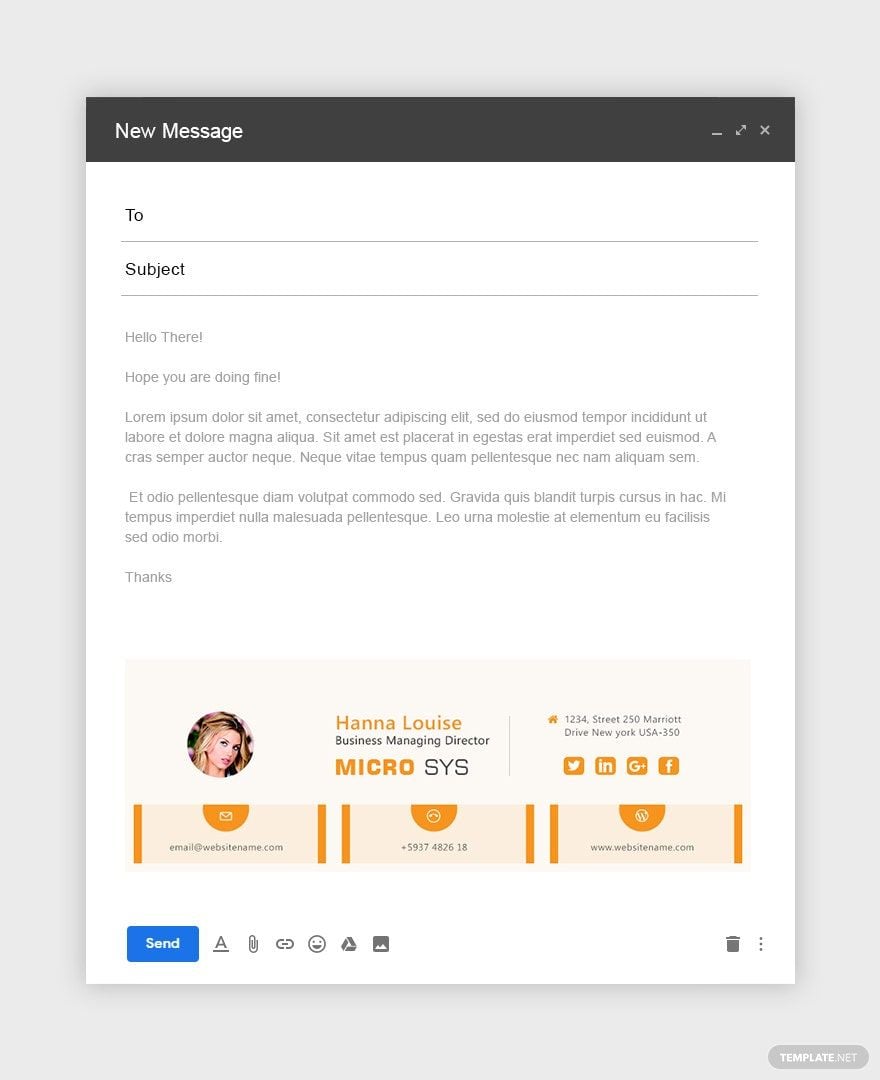 Free Standard Email Signature Template