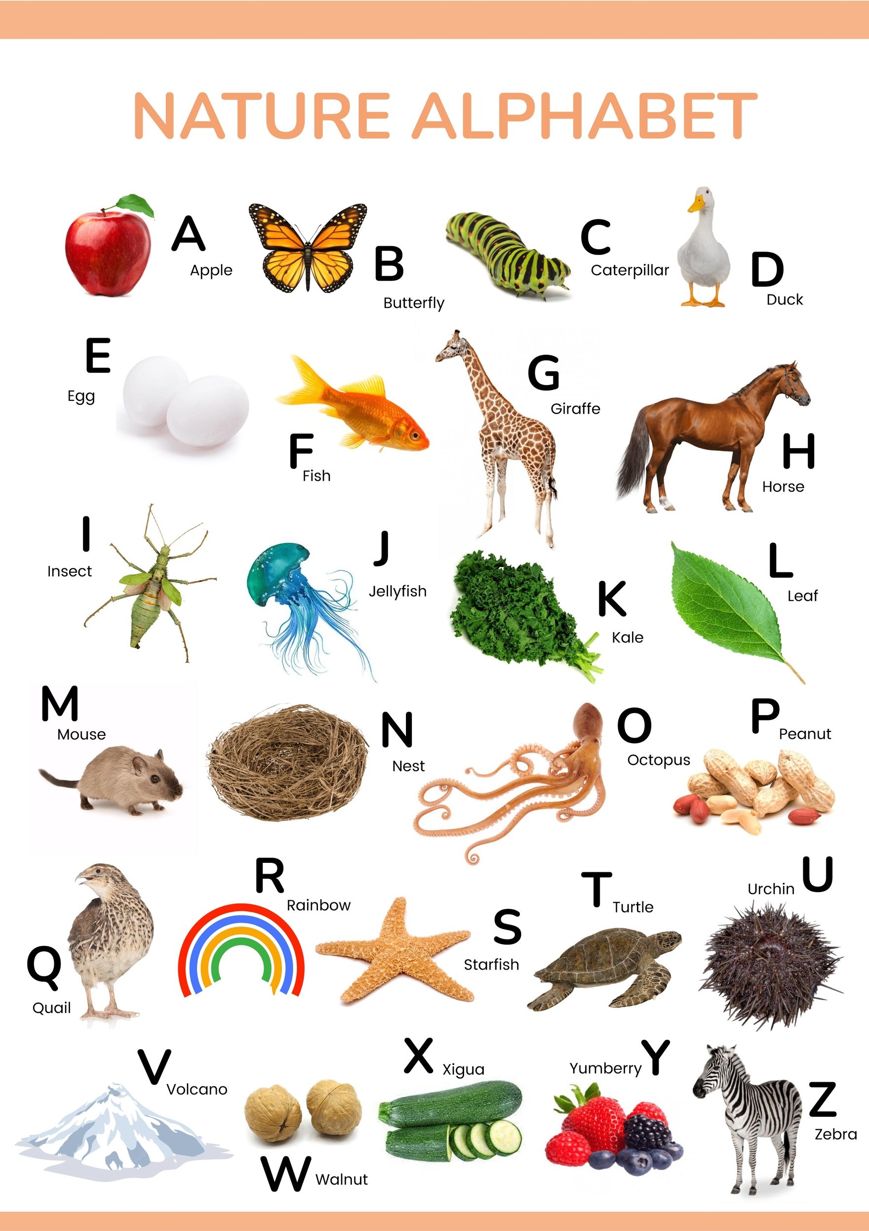 Nature Alphabet Chart in PDF, Illustrator