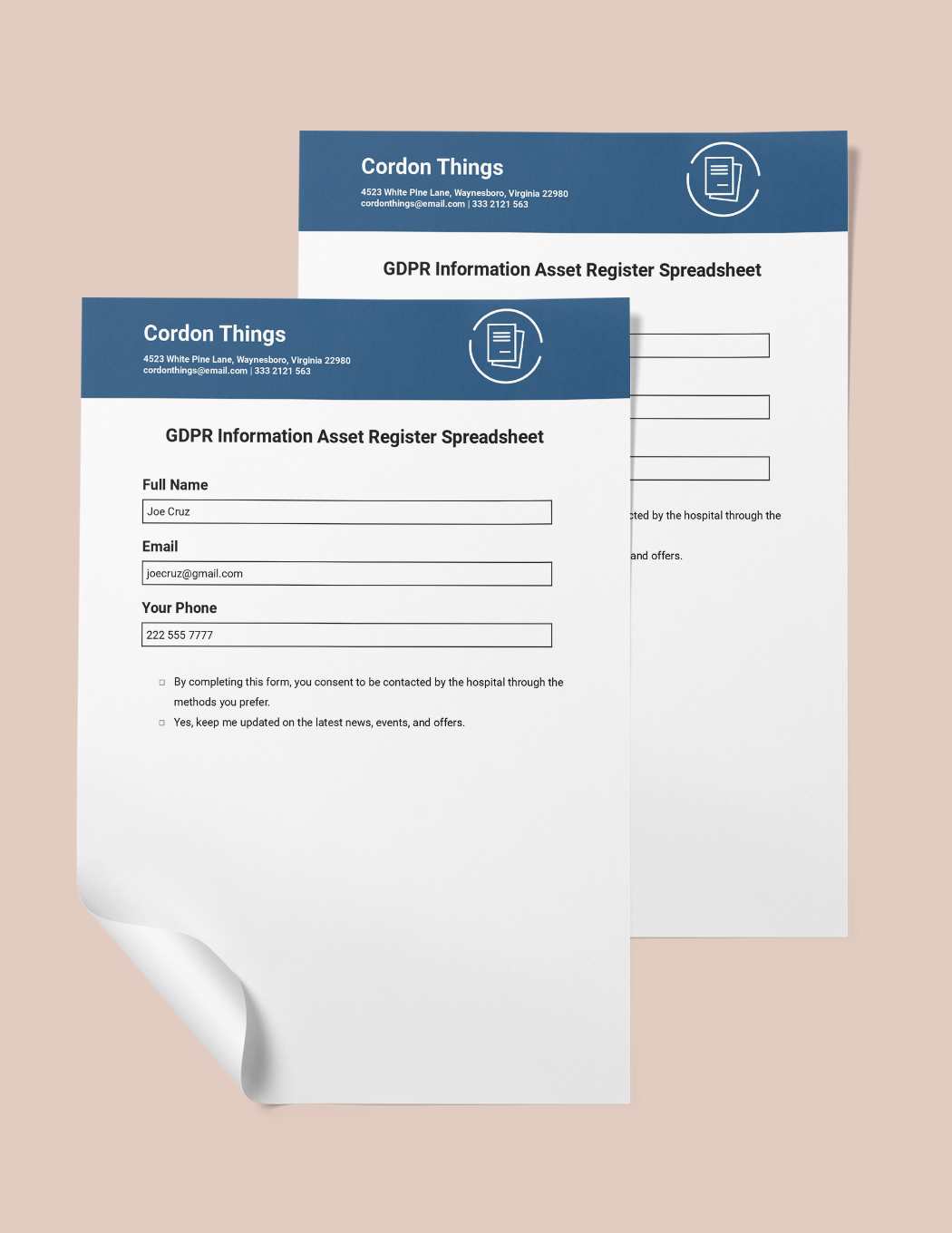 GDPR Information Asset Register Spreadsheet