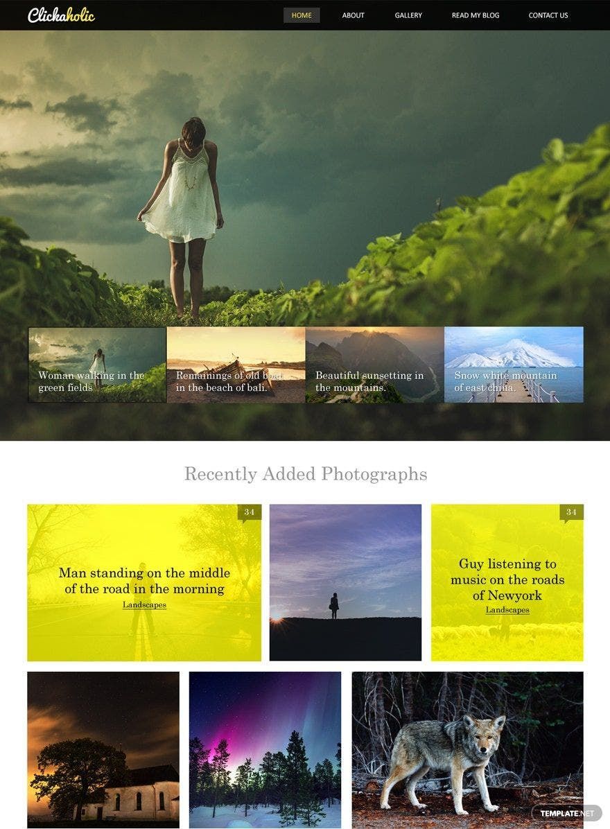Free Clickaholic HTML5/CSS3 Website Template
