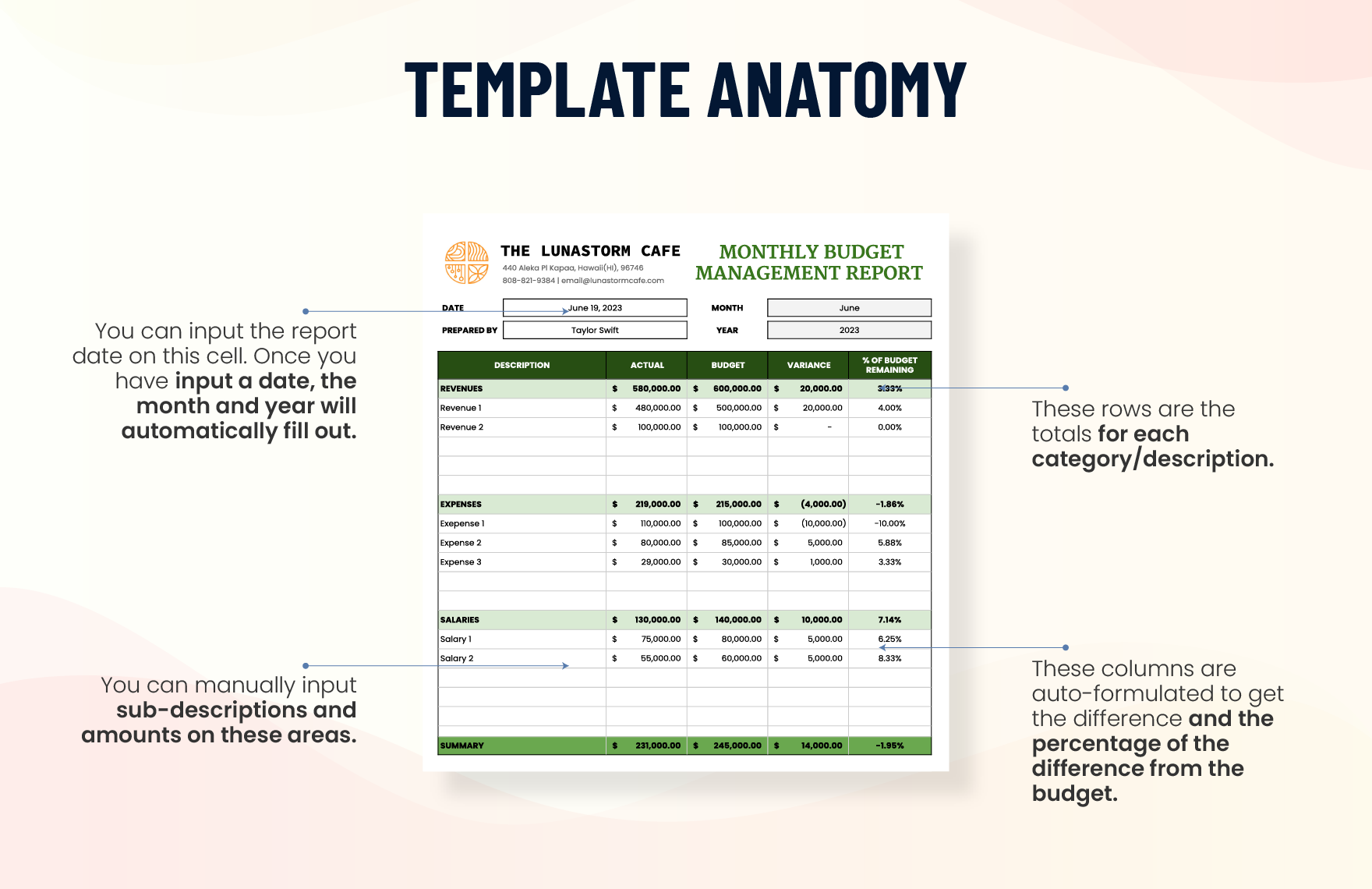Monthly Budget Management Report Template
