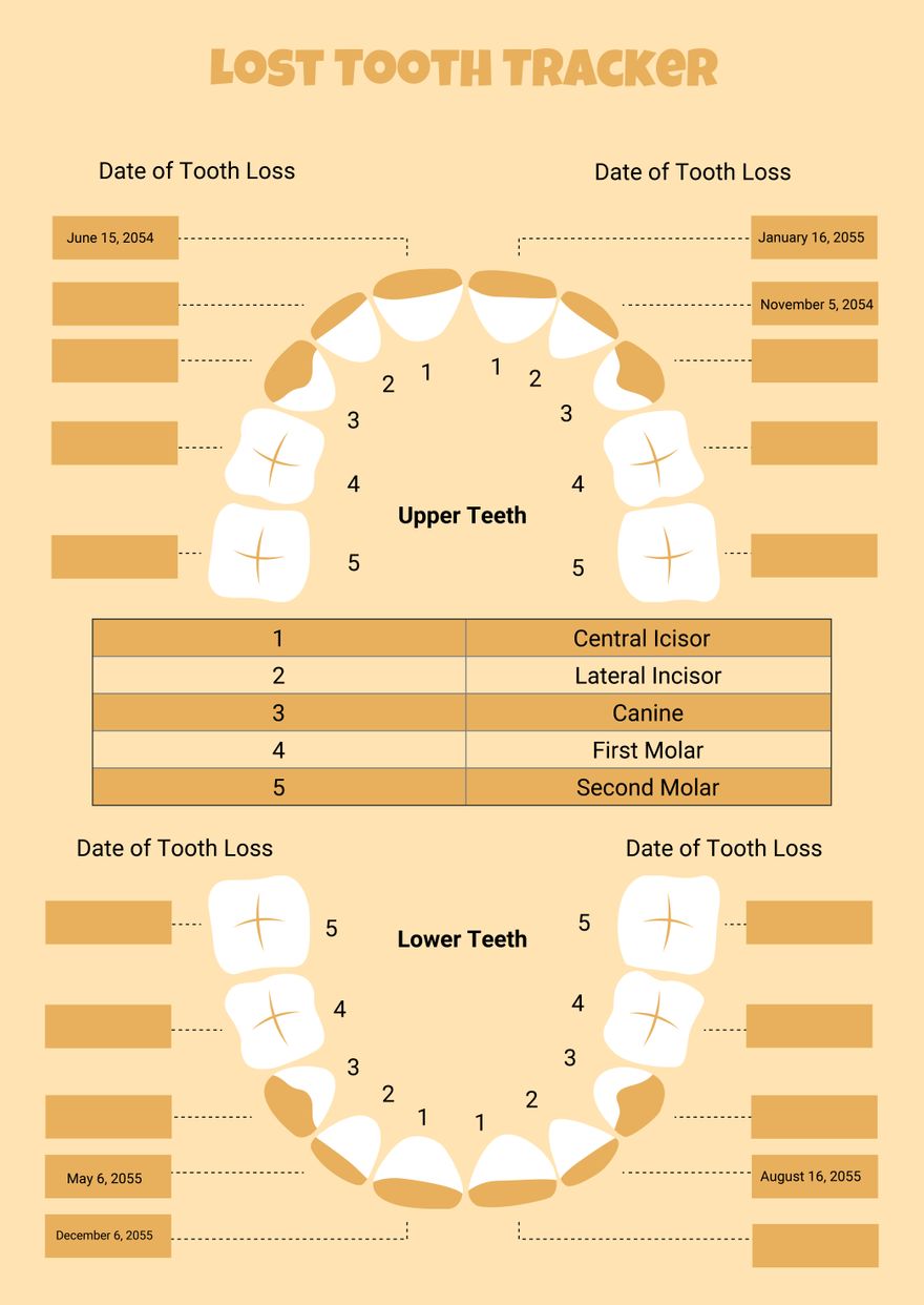 Gold Lost Tooth Chart in PDF, Illustrator