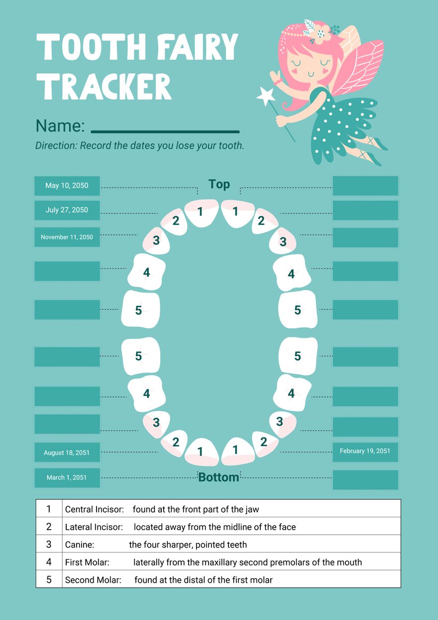 Tooth Fairy Chart