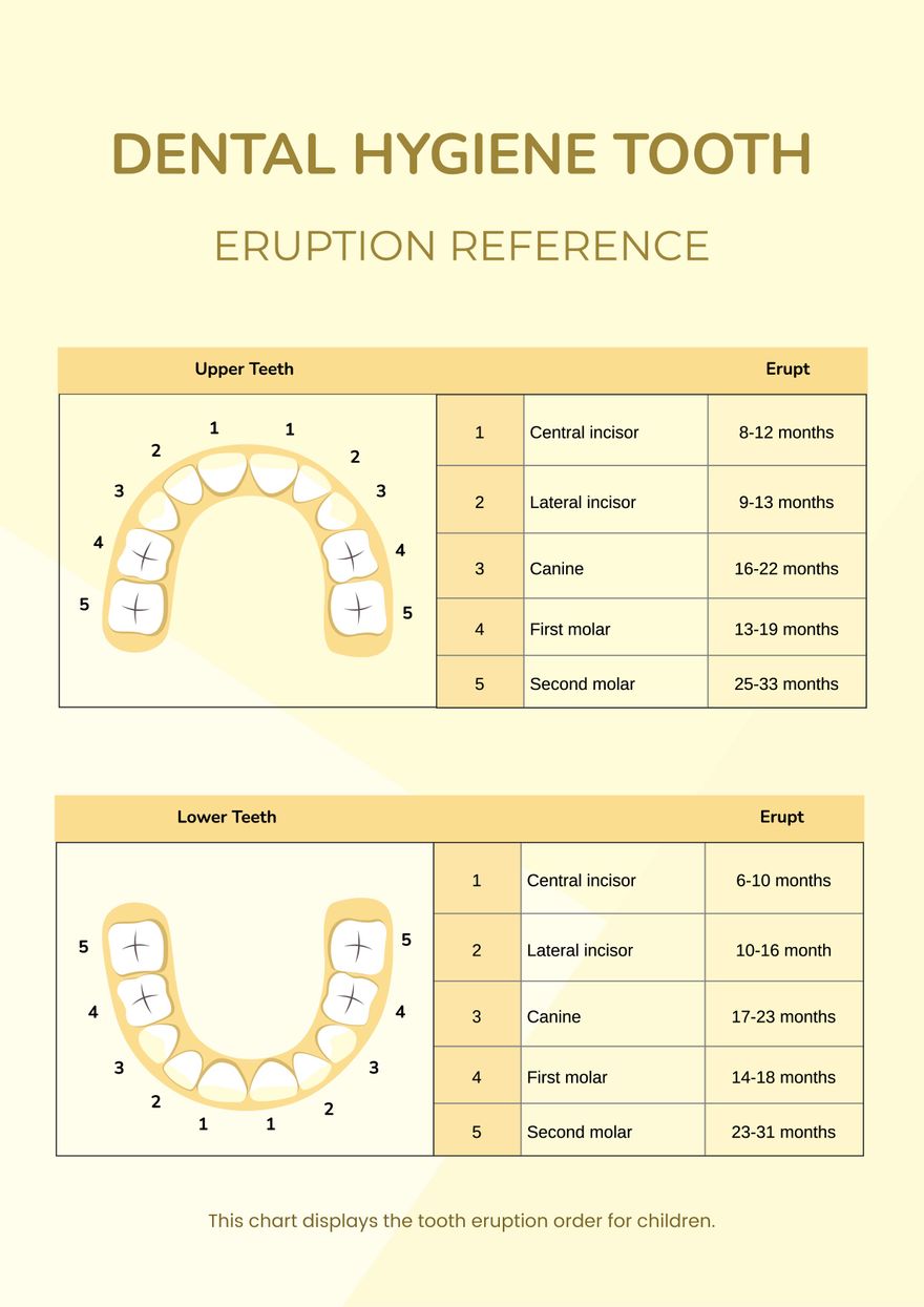 Dental Hygiene Tooth Eruption Chart in PDF, Illustrator