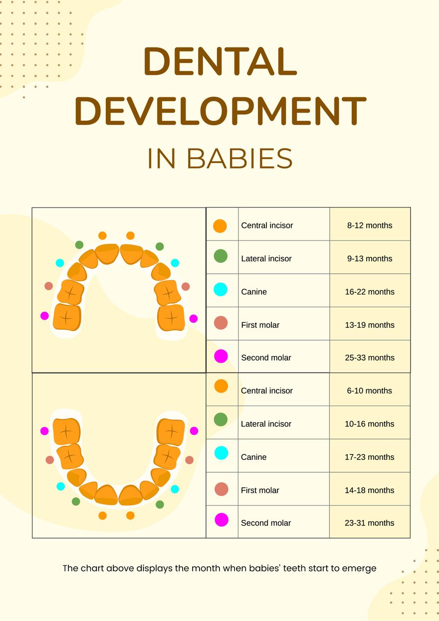 Free Dental Development Chart