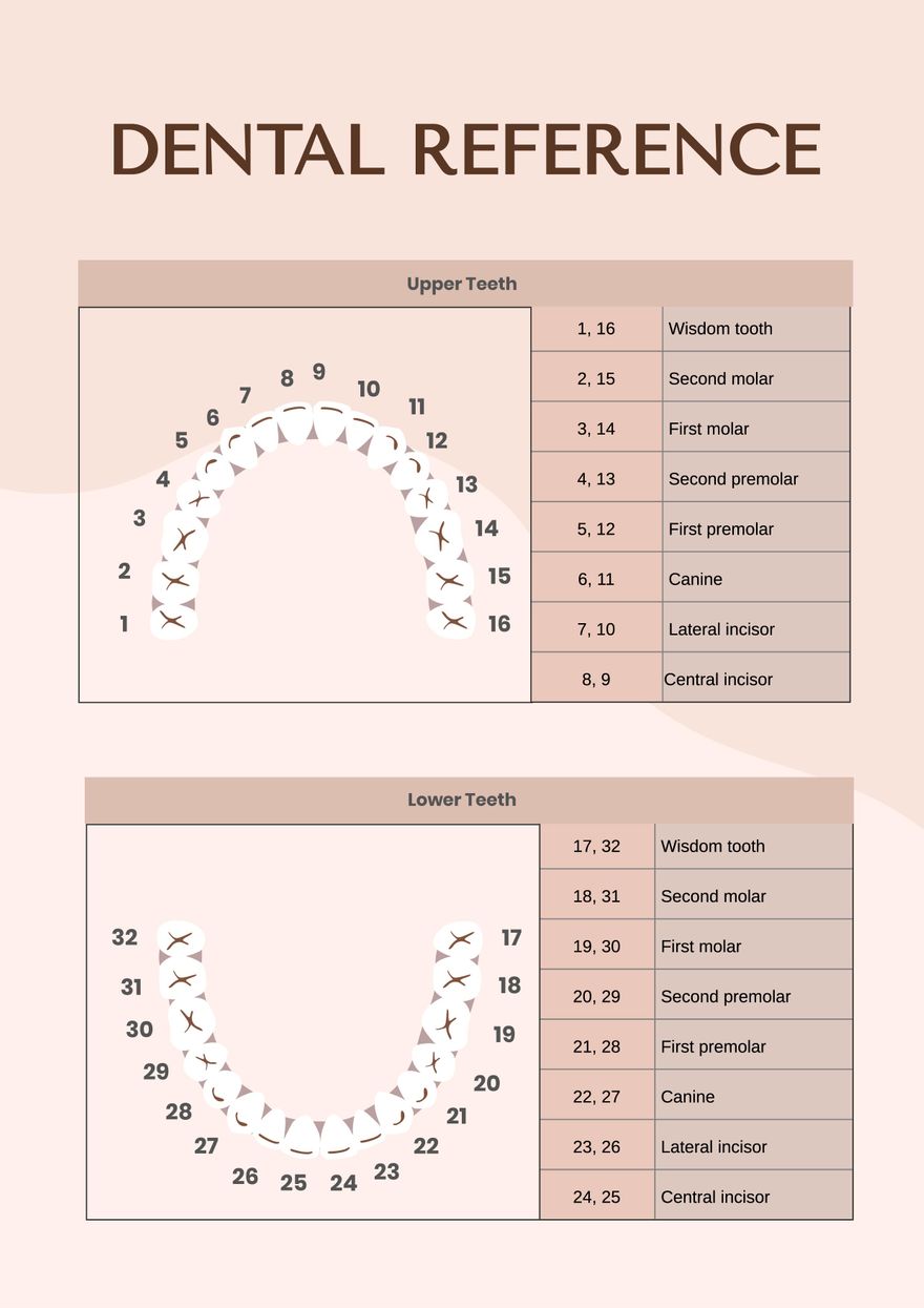 General Dental Chart