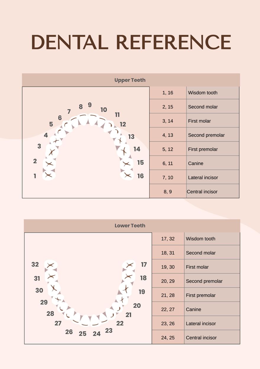 General Dental Chart In Illustrator PDF Download Template