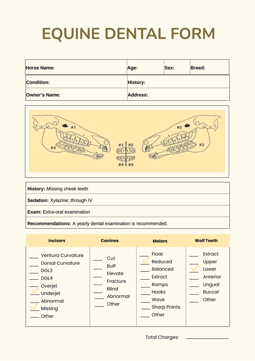 Equine Dental Chart in PDF, Illustrator