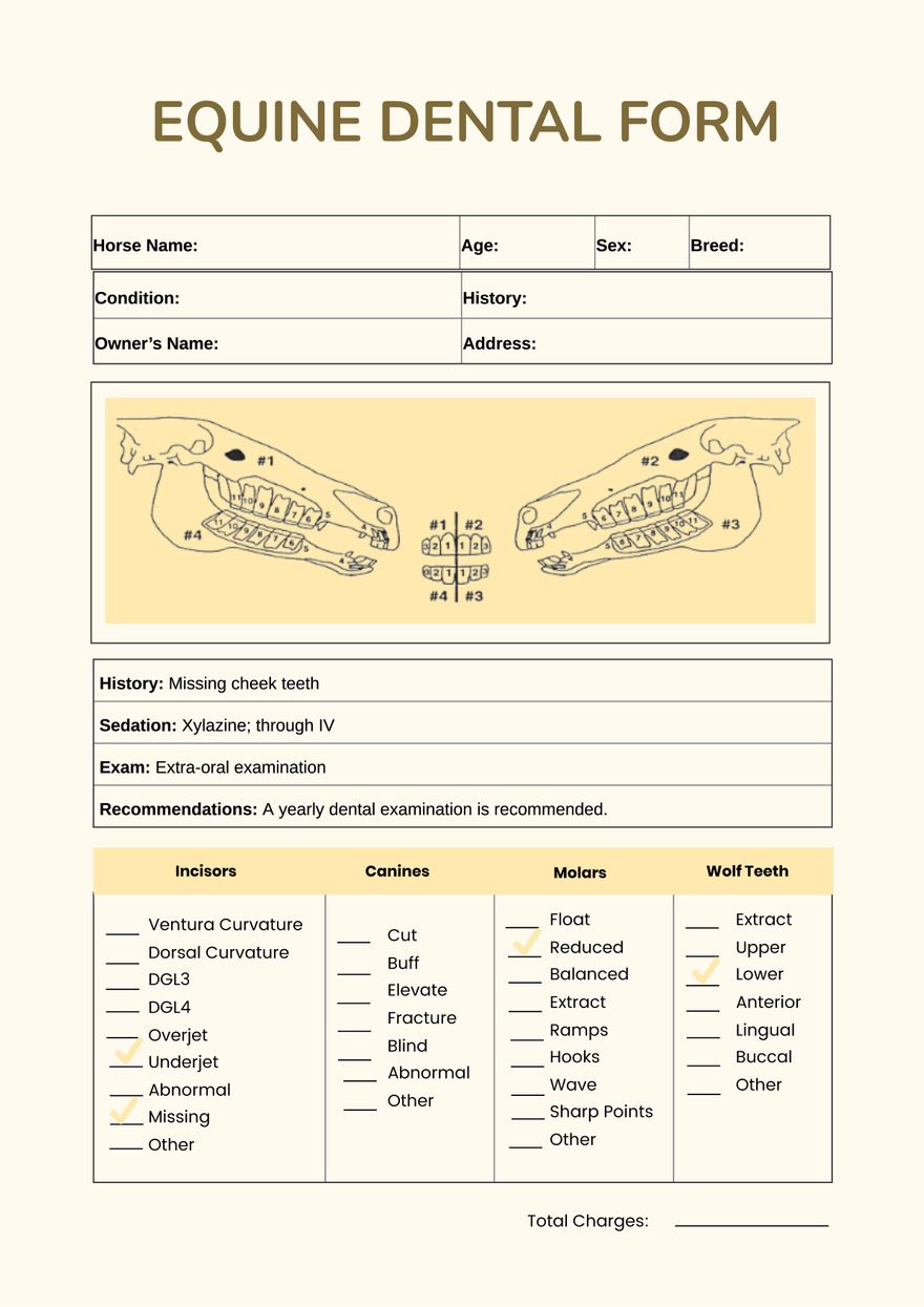 Equine Dental Chart In Illustrator PDF Download Template Equine Dental Chart In Illustrator PDF Download Template